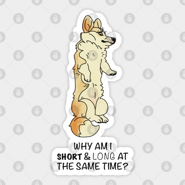 Why am I short and long at the same time? Sticker by KO-of-the-self